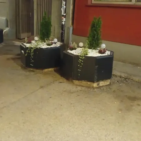 Daliarose Sarajevo